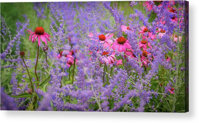 Wild Flowers Acrylic Print featuring the photograph Wild and Free by Patti Raine