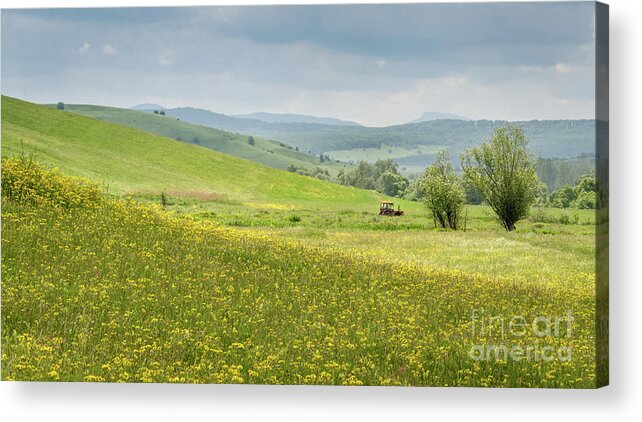 Farm Acrylic Print featuring the photograph Wildflower Meadows, Transylvania by Perry Rodriguez