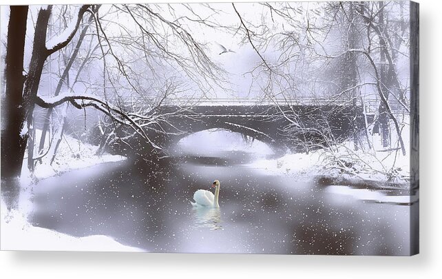 Winter Acrylic Print featuring the photograph Winter Dreaming by Jessica Jenney