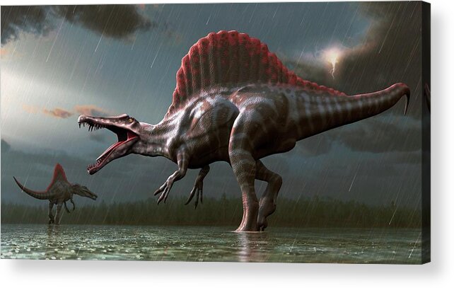 Prehistoric Era Acrylic Print featuring the digital art Artwork Of A Spinosaurus Dinosaur #1 by Mark Garlick