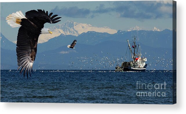 Beautiful British Columbia Acrylic Print featuring the photograph Gone Fishing #3 by Bob Christopher