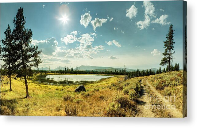 Grass Acrylic Print featuring the photograph Yellowstone National Park #3 by Jens Karlsson