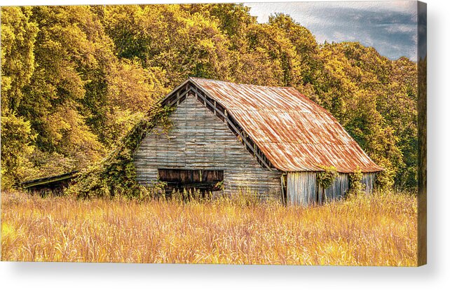 Tennessee Acrylic Print featuring the photograph Blending In With Autumn by Marcy Wielfaert