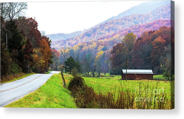 Country Road In Autumn Acrylic Print featuring the photograph Country Road In Autumn by Felix Lai