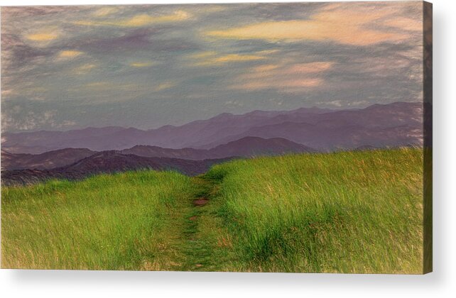 Appalachian Trail Acrylic Print featuring the photograph Dusk Along the Appalachian Trail by Marcy Wielfaert