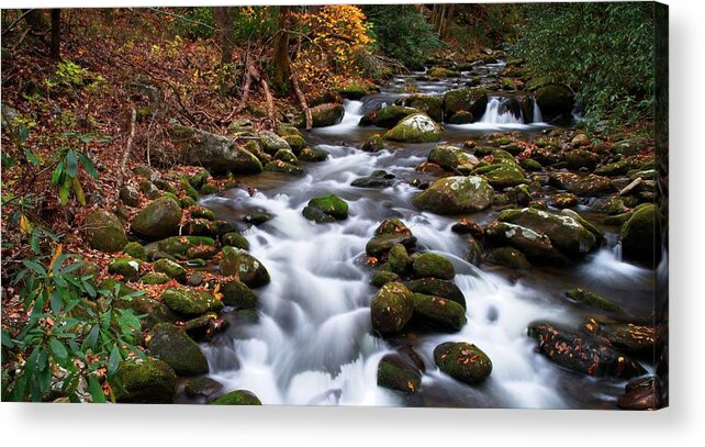 Gsmnp Acrylic Print featuring the photograph Fall Time by Dave Files
