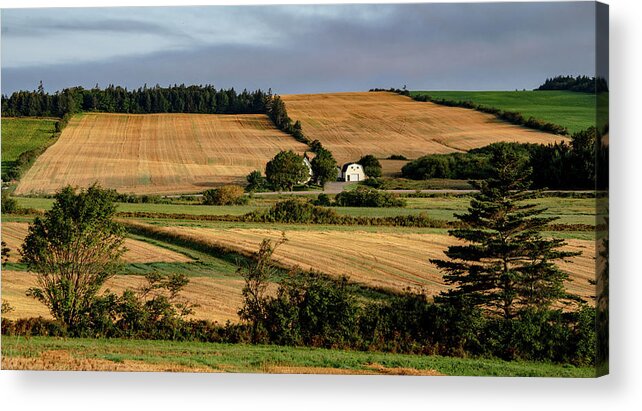 Pei Acrylic Print featuring the photograph Fields and Farms Patchwork by Marcy Wielfaert
