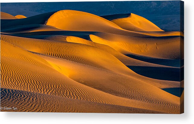 Sand Acrylic Print featuring the photograph Golden Hills by Eileen Tan