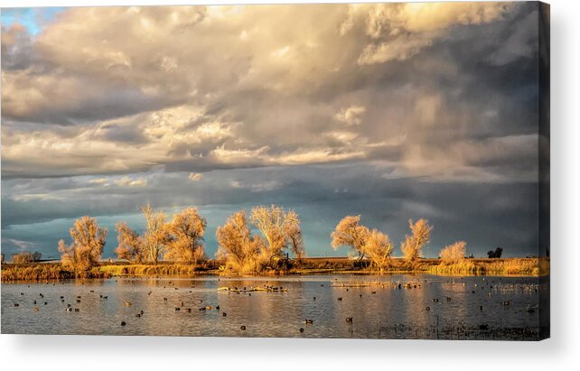California Acrylic Print featuring the photograph Golden Hour in the Refuge by Cheryl Strahl
