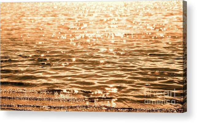 Golden Reflections Acrylic Print featuring the photograph Golden Reflections by Michael Rock