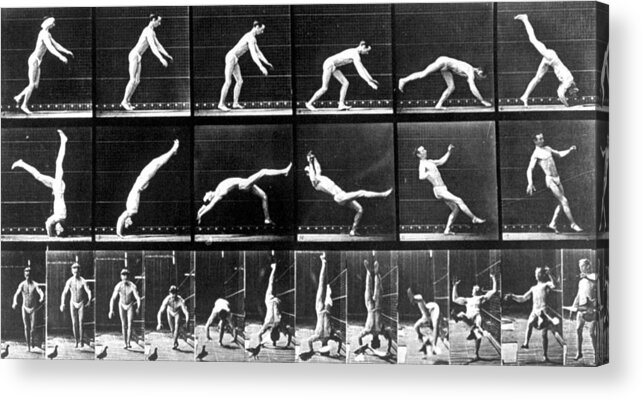 Gymnastics Acrylic Print featuring the photograph Human Locomotion by Bernard Hoffman
