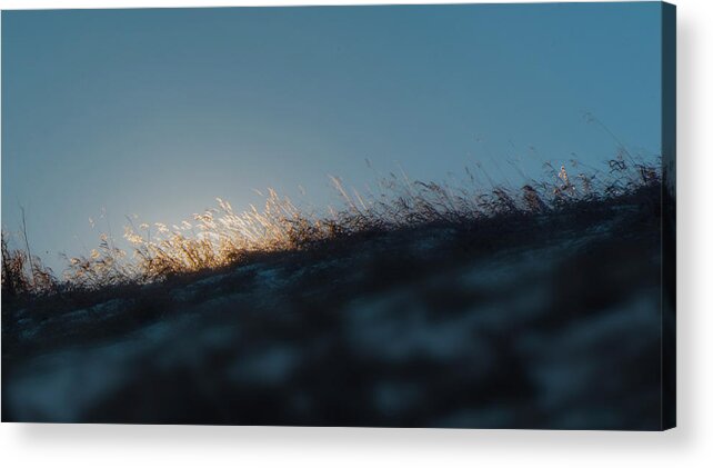 Grass Acrylic Print featuring the photograph On the Ridge by Phil And Karen Rispin