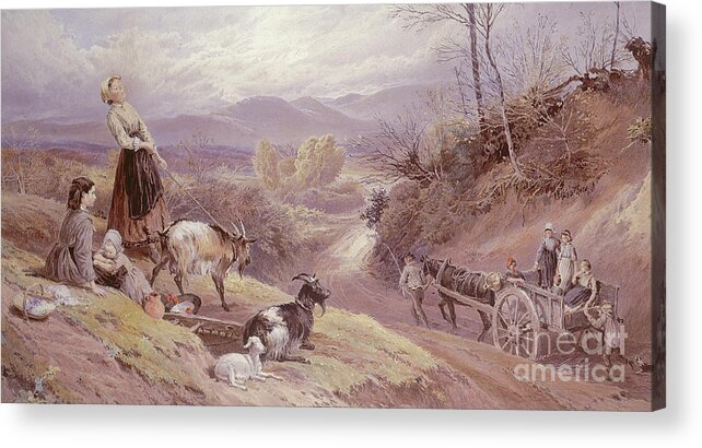 The Goat Herd Acrylic Print featuring the painting The Goat Herd, 19th century by Myles Birket Foster