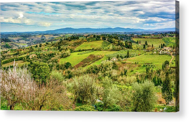 Tuscany Acrylic Print featuring the photograph Verdant Tuscan Springtime by Marcy Wielfaert