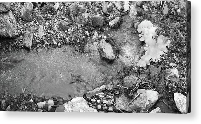 Richard E. Porter Acrylic Print featuring the photograph Aqua Chiquita Creek and Ice, Lincoln National Forest, New Mexico #1 by Richard Porter