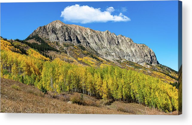 Aspens Acrylic Print featuring the photograph Autumn at Gothic Mountain by Ron Long Ltd Photography