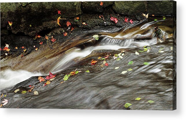 Autumn Acrylic Print featuring the photograph Autumn Falls II by Cameron Wood