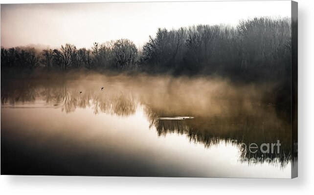 Atmosphere Acrylic Print featuring the photograph Clouds Of Mist Over The Watershed Of National Park River Danube Wetlands In Austria by Andreas Berthold