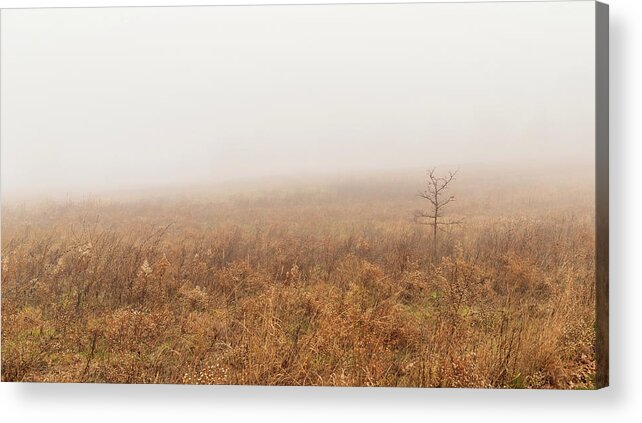 Landscape Acrylic Print featuring the photograph Codori Farm Field in Gettysburg by Amelia Pearn