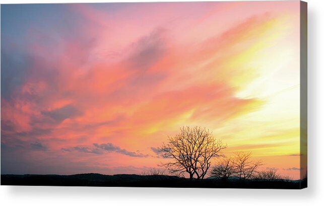 Color Acrylic Print featuring the photograph Colors over the Preserve by Jason Fink