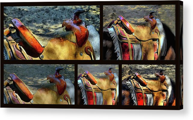 A Real Working Saddle Abstract Acrylic Print featuring the photograph Five Saddle Montage by Floyd Snyder