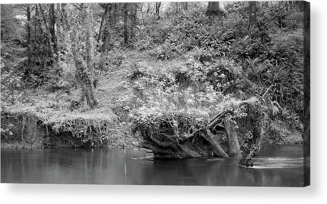 Landscape Acrylic Print featuring the photograph Haceta Head Stream by Mike Bergen