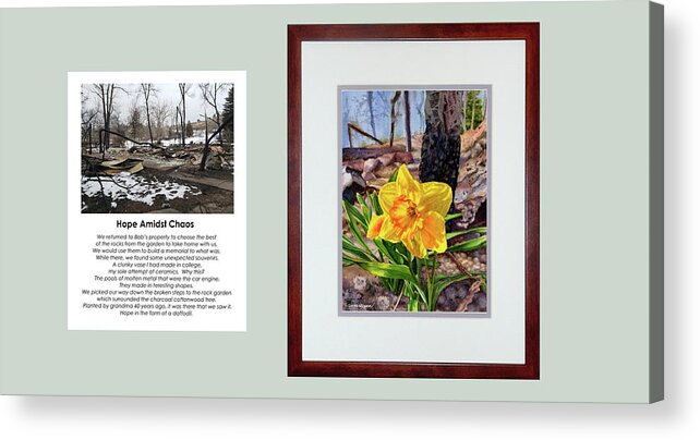 Marshall Acrylic Print featuring the photograph Hope Amidst Chaos with photo by Anne Gifford