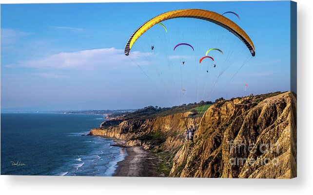 Beach Acrylic Print featuring the photograph Paragliders Flying Over Torrey Pines by David Levin