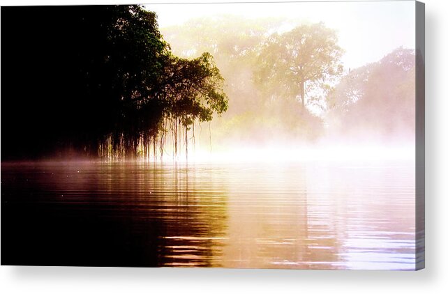 River Acrylic Print featuring the photograph River in the fog by Patricia Piotrak