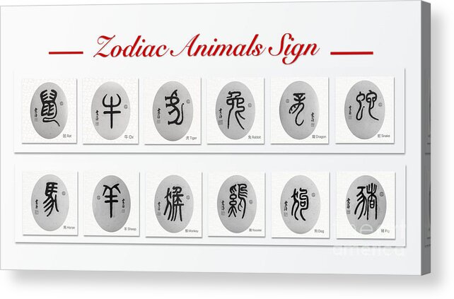 Chinese Calligraphy Acrylic Print featuring the painting The Chinese Zodiac Animals Sign by Carmen Lam