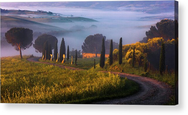 Italy Acrylic Print featuring the photograph Val d'Orcia by Evgeni Dinev