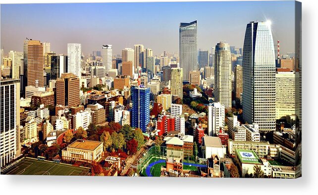 Treetop Acrylic Print featuring the photograph Tokyo Downtown Cityscape #6 by Vladimir Zakharov