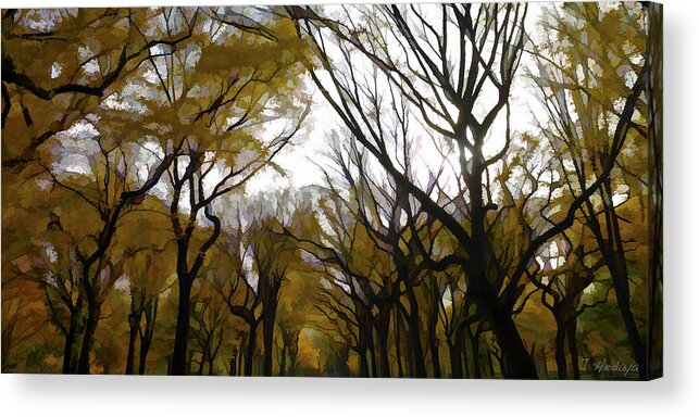 Trees Acrylic Print featuring the photograph Autumn Trees Panoramic by Joseph Hedaya