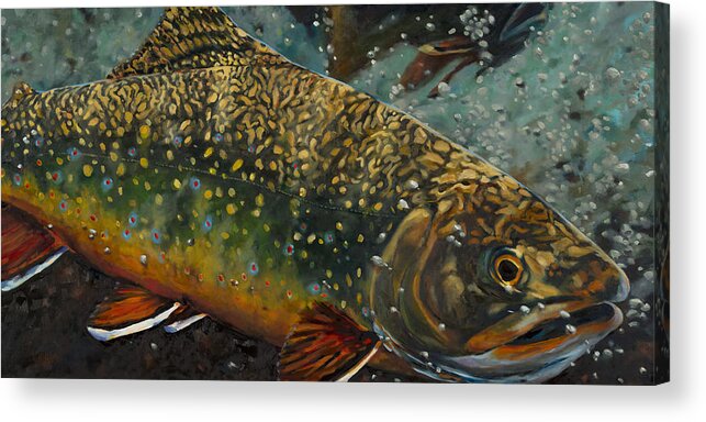 Brook Trout Acrylic Print featuring the painting Big Brookie by Les Herman
