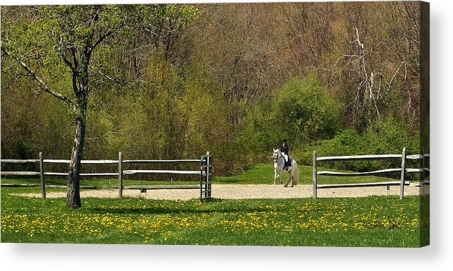 Beland. Spring Acrylic Print featuring the photograph Dandelion Dressage by Joan Davis