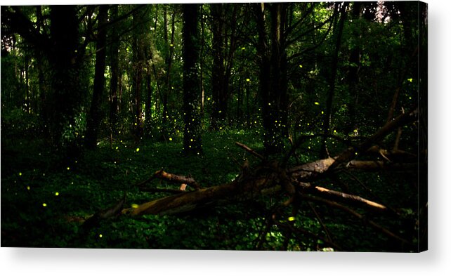 Firefly Acrylic Print featuring the photograph Firefly Magic by Stacy Abbott