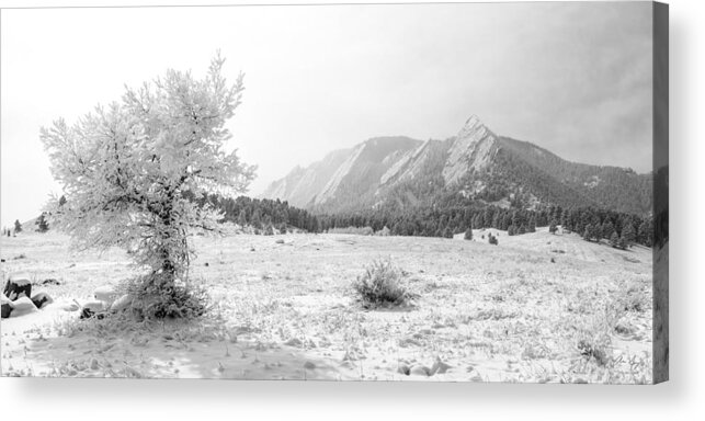 Boulder Acrylic Print featuring the photograph Flatirons Tree - Winter by Aaron Spong