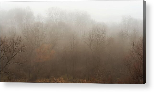 Fog Acrylic Print featuring the photograph Fog Riverside Park by Scott Norris