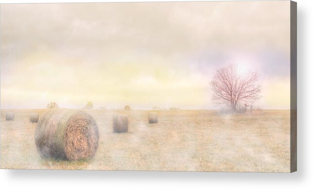 fine Art Acrylic Print featuring the photograph Foggy Morning In SC by Brent Craft