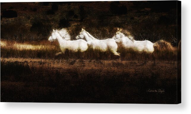 Horses Acrylic Print featuring the photograph Ghost Horses by Karen Slagle