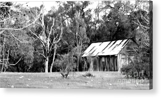 Bush Acrylic Print featuring the digital art Old Bush Shed by Phill Petrovic