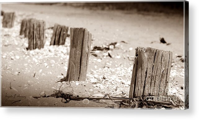 Beach Post Acrylic Print featuring the photograph Passages by Angela Murray