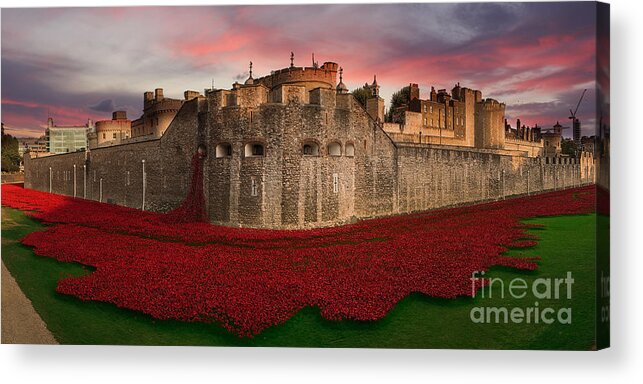 Poppies Acrylic Print featuring the digital art Poppy Sea by Airpower Art