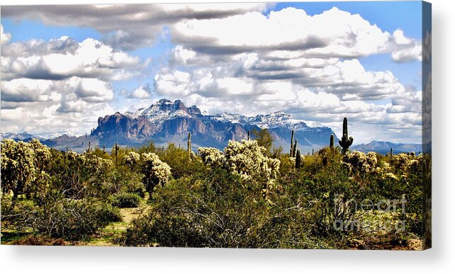 Superstition Mountain Acrylic Print featuring the photograph Superstitions With Snow Panorama by Marilyn Smith