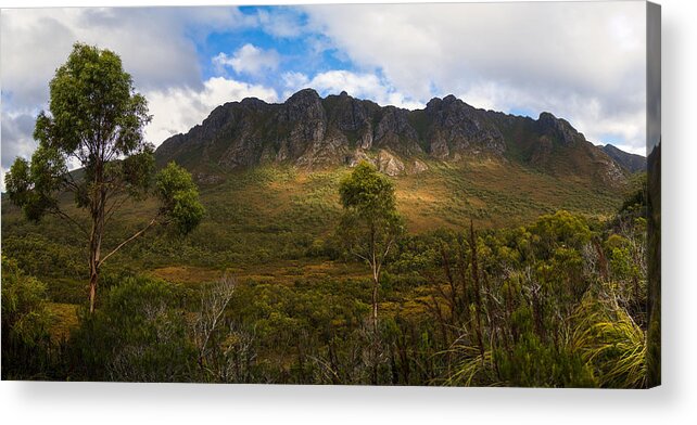 Tasmania Acrylic Print featuring the photograph The Sentinels by Anthony Davey
