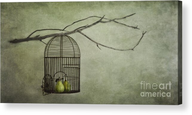 Pears Acrylic Print featuring the photograph There is a world outside by Priska Wettstein