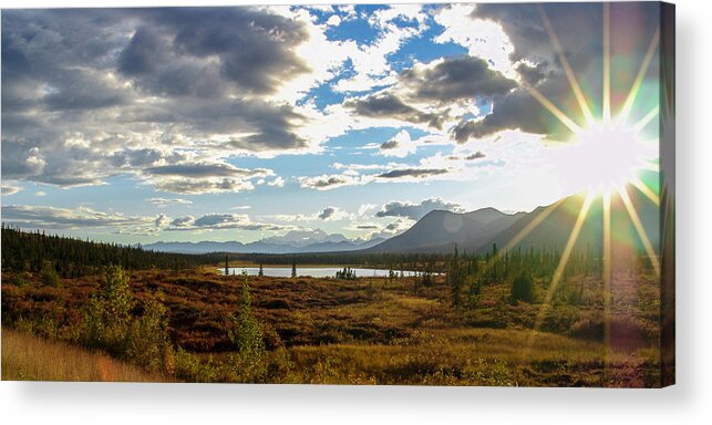Park Acrylic Print featuring the photograph Tundra Burst by Chad Dutson