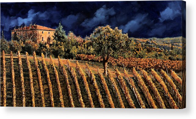 Vineyard Acrylic Print featuring the painting Vigne Orizzontali by Guido Borelli