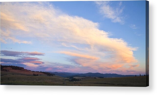 Rural Acrylic Print featuring the photograph You Can Almost Hear Them Singing by Theresa Tahara