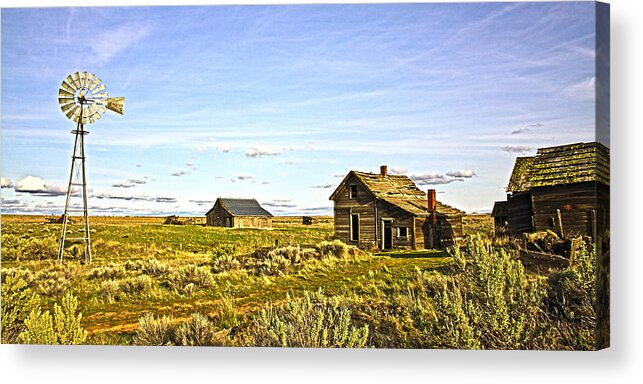 Cowboy Acrylic Print featuring the photograph Home on the Range #2 by Steve McKinzie